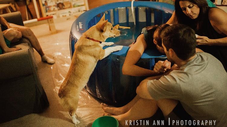 Corgi acompanha parto - Kristin Ann Photo - Kristin Ann Photo