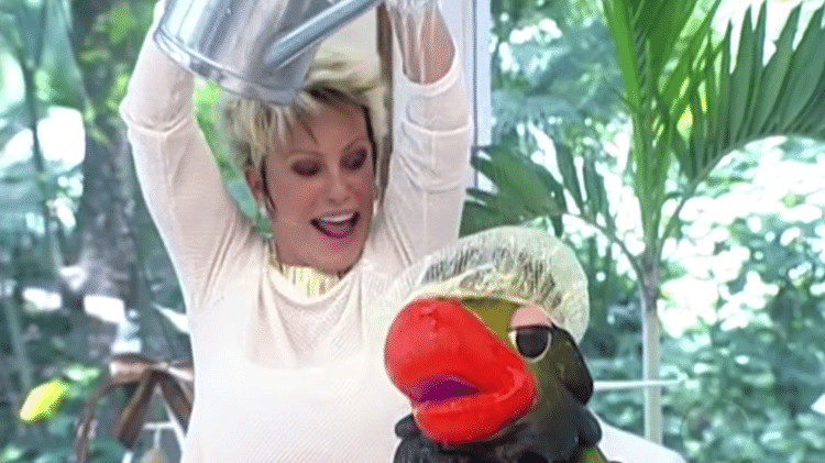 Reprodução/Globo/Youtube