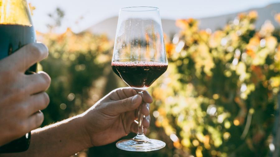 Os vinhos do Chile não vivem só de cameneres e cabernets. Conheça as uvas patrimoniais - Getty Images/iStockphoto