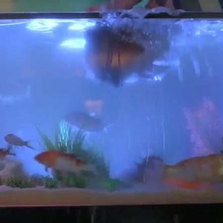 Pedro (Daniel Pimentel) é afogado em aquário por Danilo Gentili em "Como se Tornar o Pior Aluno da Escola" - Reprodução - Reprodução