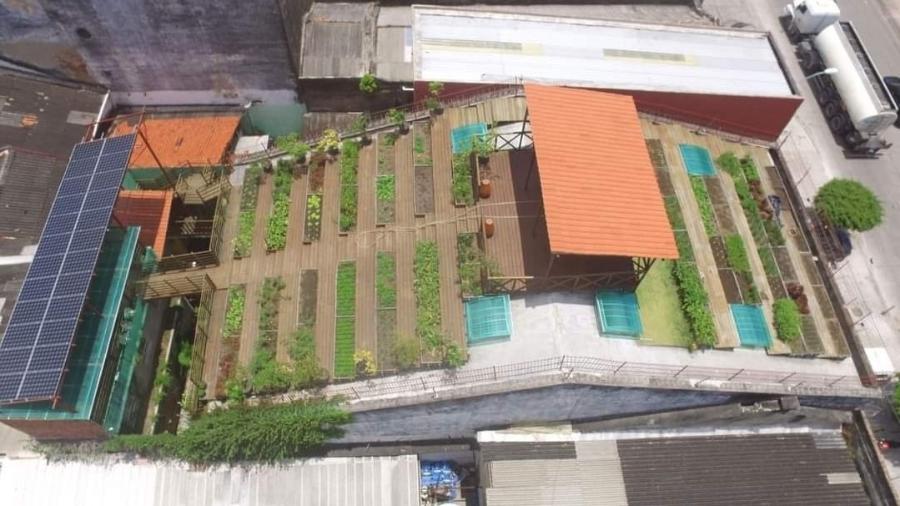 O local tem 400 m² de hortas orgânicas, montadas em estruturas ecológicas de madeira - Agência JCMazella