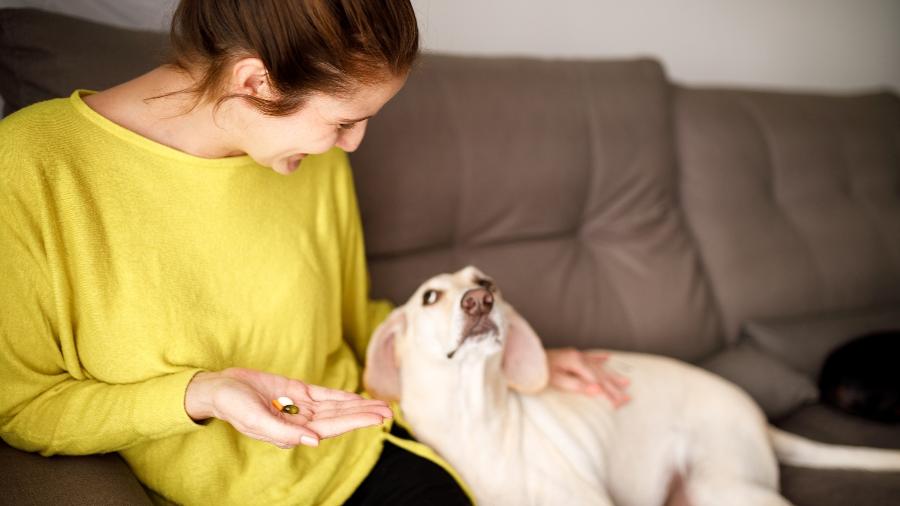 Dar remédio para cães e gatos é difícil, mas não impossível - Getty Images/iStockphoto