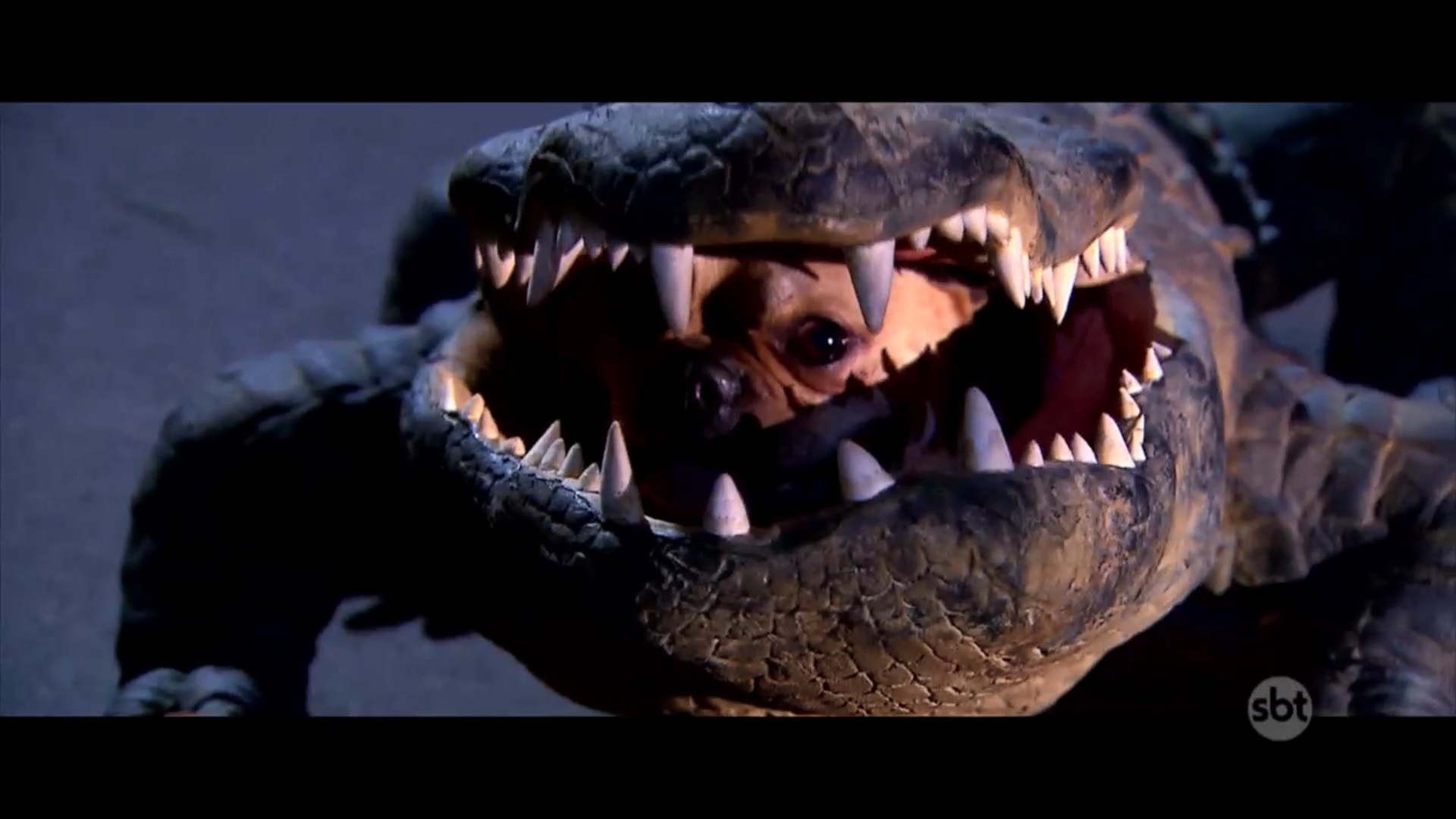 Cachorro se fantasia de jacaré em pegadinha do "Programa Silvio Santos", do SBT - Divulgação/SBT