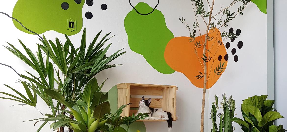 Parede com pinturas orgânicas no apartamento do designer de interiores Edgar dos Santos Junior, do perfil @ed.decora - Arquivo Pessoal