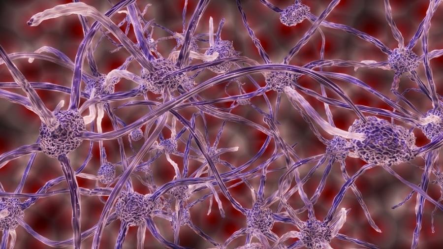 Pesquisadores da Universidade Harvard e da USP descobriram que componente do antraz, uma arma letal, atua diretamente nos neurônios e pode carregar substâncias analgésicas até as células neuronais - Pixabay