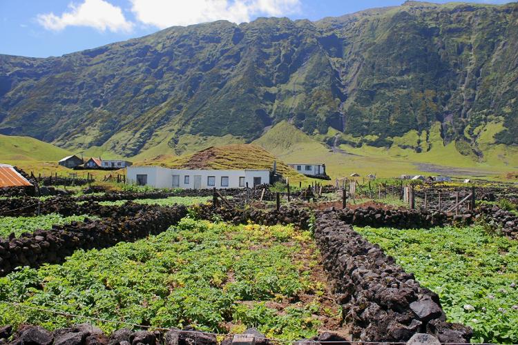 Os moradores cultivam a própria terra para obter mantimentos em Tristão da Cunha; as práticas são regulamentadas pelo governo local até hoje