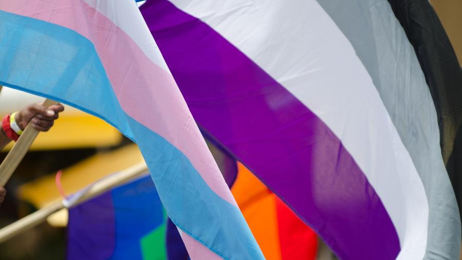 A bandeira assexual (em tons de roxo e preto) ao lado da bandeira trans (rosa e azul) - iStock