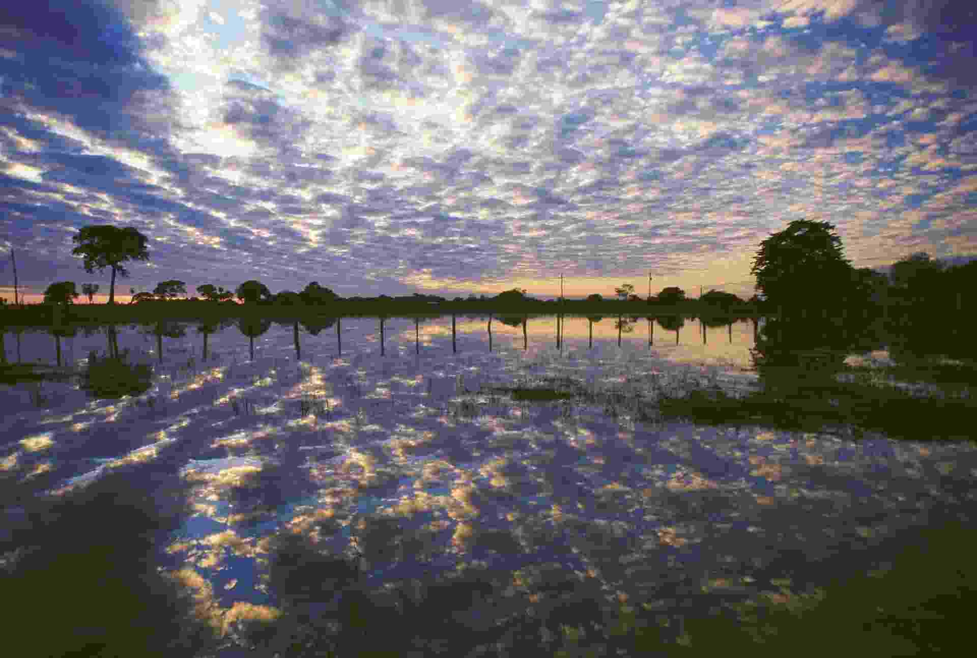 Pantanal - Valdemir Cunha