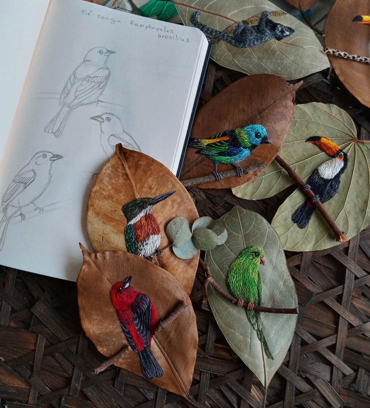 Desenhos e as folhas bordadas com as sketchs - Arquivo Pessoal - Arquivo Pessoal