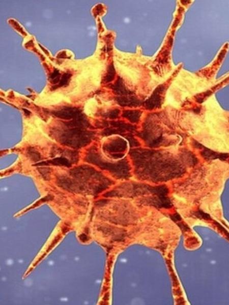 coronavírus - Getty Images/BBC News