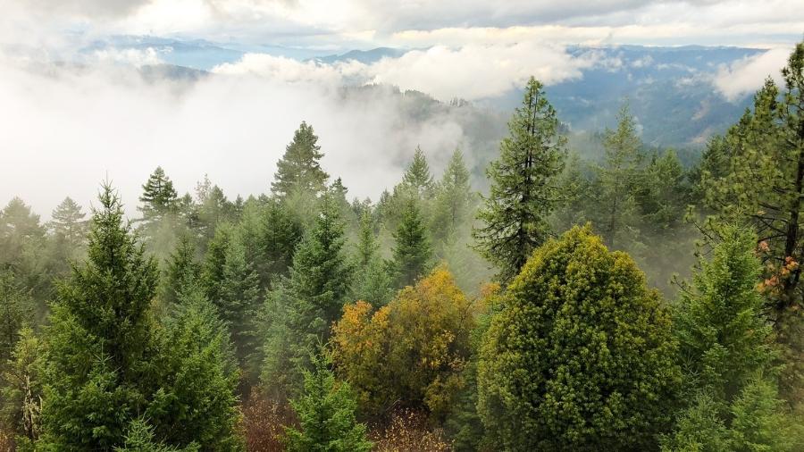 Umpqua, floresta nacional no Oregon, nos Estados Unidos