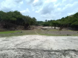 Seca deixa territórios indígenas sem aula, água e comida