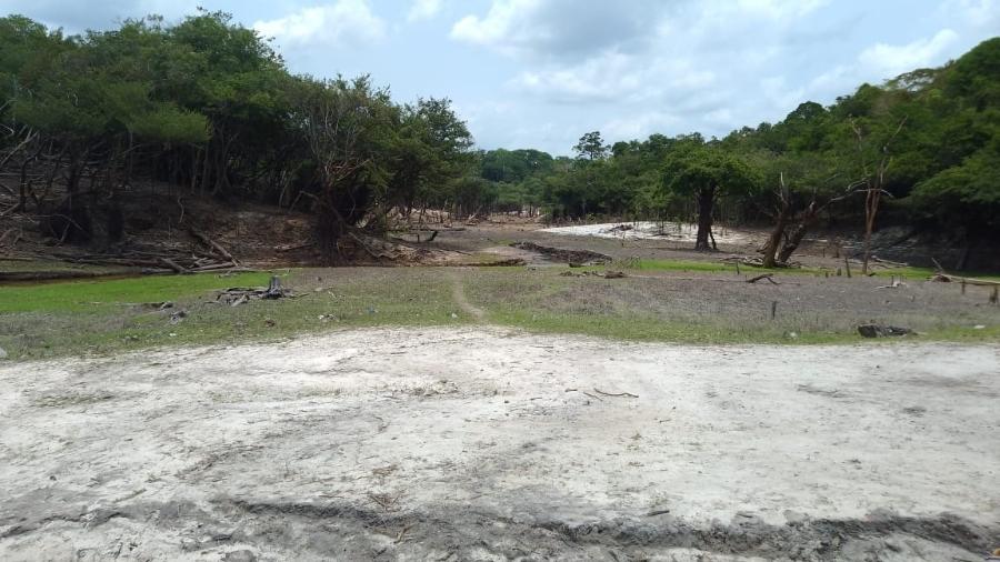 Rios da aldeia Boa Fé, em Barreirinha (AM), estão secos