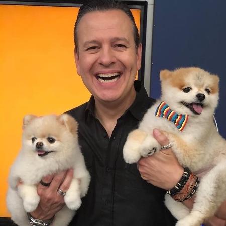 Celso Zucatelli posa na Gazeta com seus dois cachorrinhos: Paçoca e Tapioca - Reprodução/Instagram