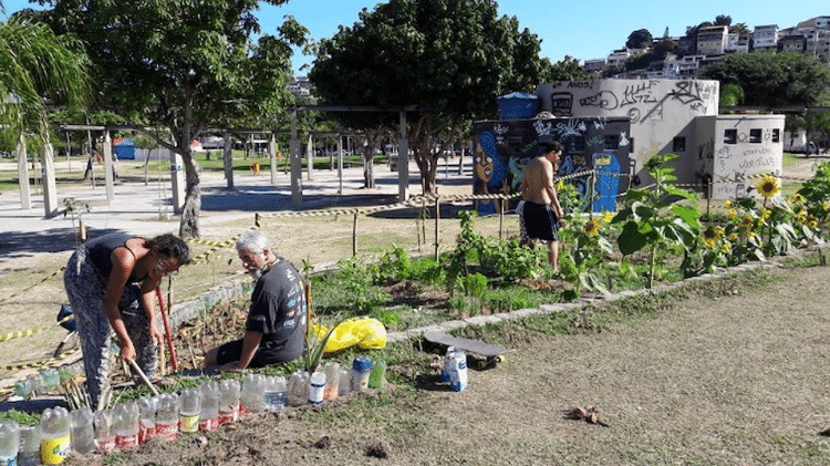 O projeto agroflorestal começou em 2017 com o plantio, principalmente, de hortaliças