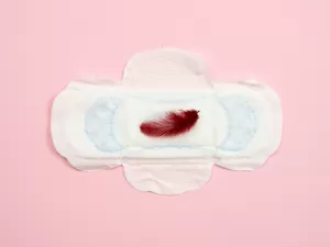 Absorventes para menstruação são testados sem sangue --e isso é um problema