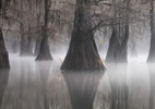 Prêmio elege as panorâmicas de paisagens mais impressionantes de 2021 - Reprodução/Joshua Hermann/Epson International Pano Awards 2021