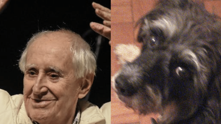 Nagô, cachorro do dramaturgo José Celso Martinez, já recebeu alta - Jota Erre / Photo Premium / Folhapress / Reprodução / Instagram