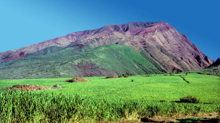 Campo de cana de açúcar em Maui, Havaí