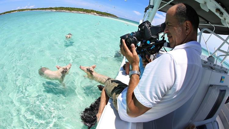 Viajantes observam os porquinhos praianos no meio de um cenário paradisíaco - Divulgação/Turismo das Bahamas - Divulgação/Turismo das Bahamas