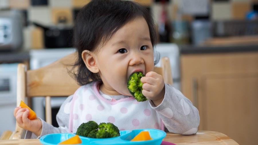 O meu bebé não aceita alimentos sólidos e agora?