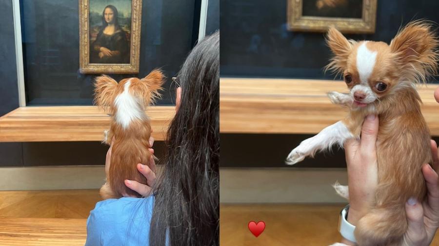 Demi Moore tira fotos com seu cachorro em museu na França - Reprodução/Instagram