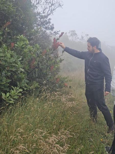 Chef Jef Garcia mostra o que colhe no Páramo Choachí Chef Jef Garcia mostra o que colhe no Páramo Choachí