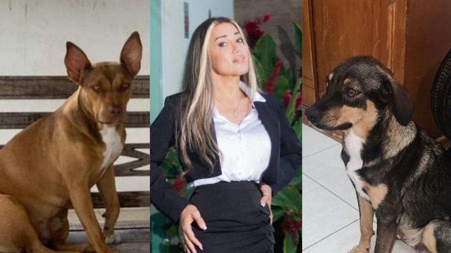 Cachorras de Mulher Abacaxi fogem de casa Cachorras de Mulher Abacaxi fogem de casa