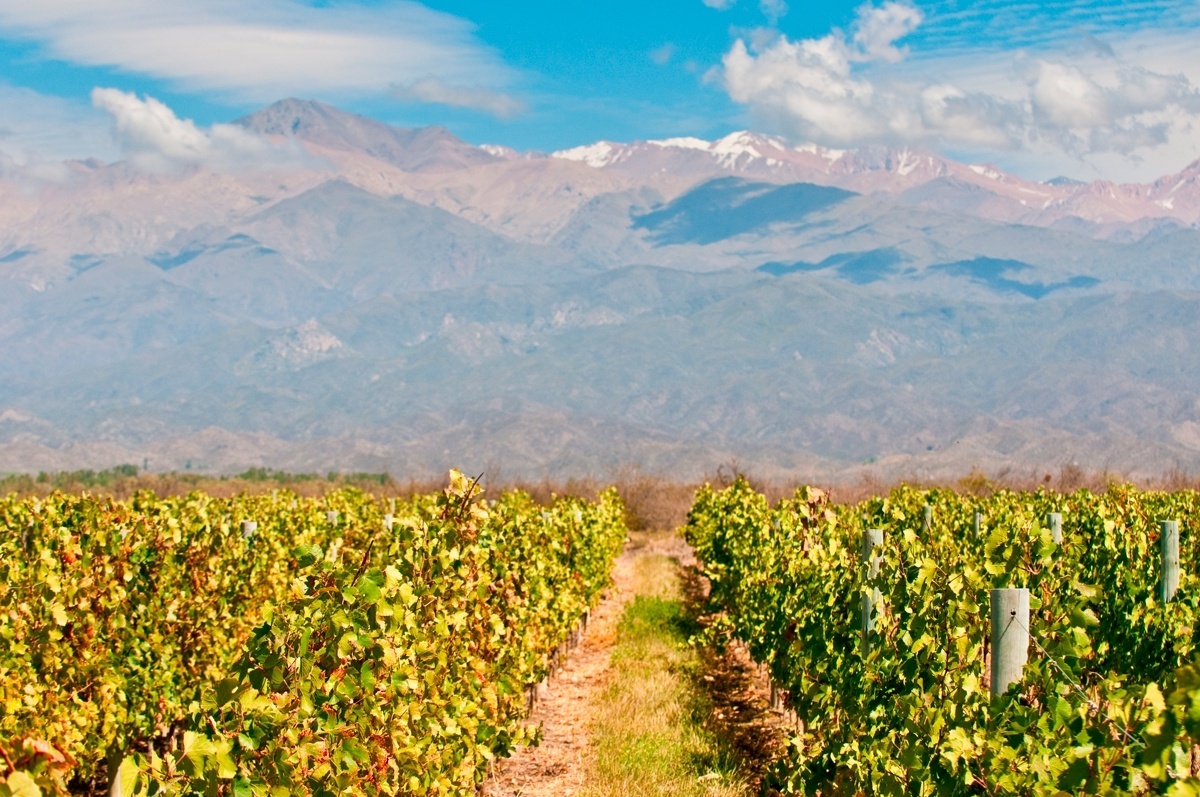 Mendoza (Argentina): A Agência Aqui Viagens (www.aquiviagens.com.br) tem pacote de quatro noites a partir de US$ 688 por pessoa (R$ 2.211, em valores convertidos em 17/1/2017). Inclui tour pela cidade, passeio enogastronômico com degustações e uma garrafa de vinho cortesia por apartamento. Reservas: (11) 3742-2200. (Preços e condições consultados em janeiro de 2017 e sujeitos a alterações. Entre em contato com o estabelecimento antes de fazer a reserva) - Divulgação/Agência Aqui Viagens