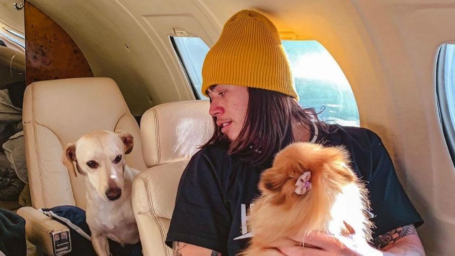 Whindersson Nunes com suas cachorrinhas em jatinho - Reprodução/Instagram