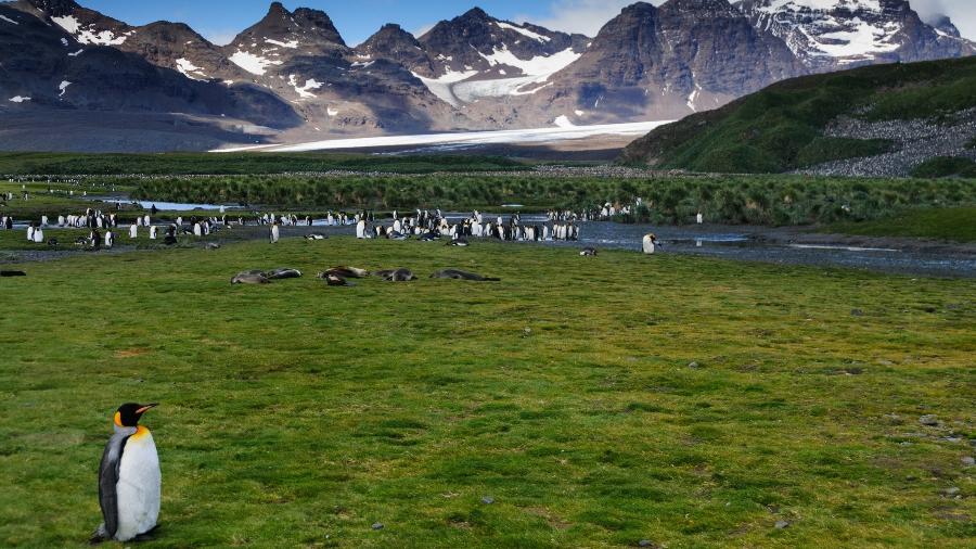 Malvinas ainda têm pessoas morando - Getty Images/iStockphoto