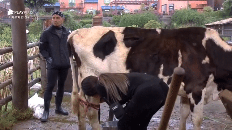 A Fazenda 2021: Liziane leva rabada de vaca - Reprodução/Playplus - Reprodução/Playplus