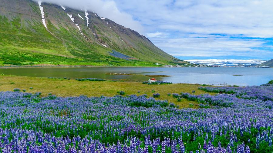 Isafjordur, nos Fiordes Ocidentais, Islândia - iStock/Getty Images