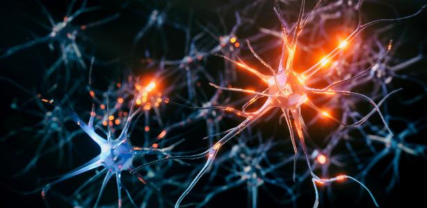 The study introduces the neurons that release dopamine in the brain