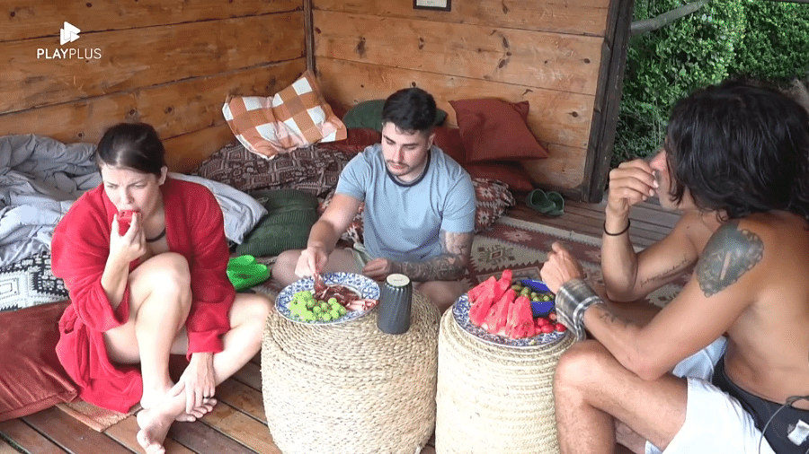 A dinâmicadinˆdinâmica do ambiente da fazenda ao longo do jogo