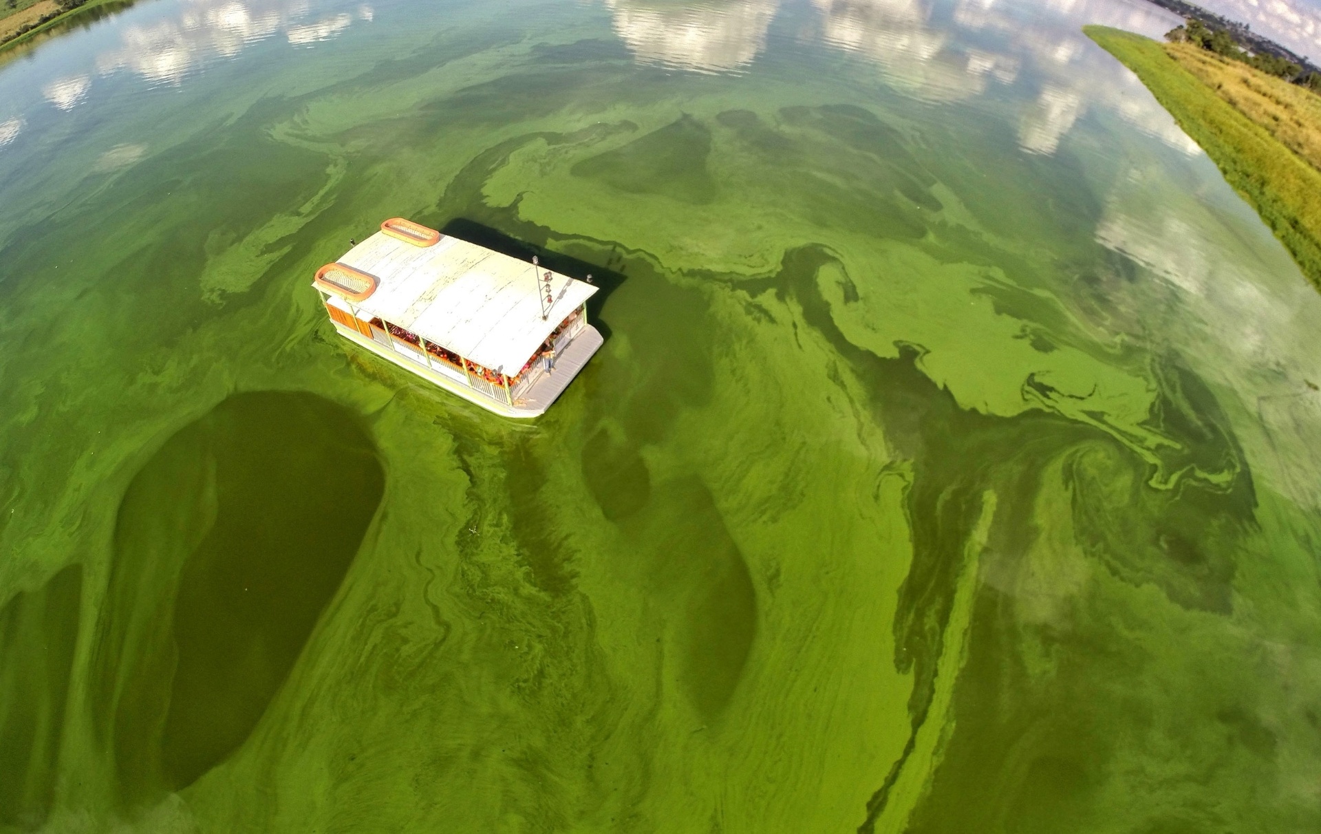 De 19 de janeiro a 21 de fevereiro, a exposição FotoRetrospectiva 2015 traz 80 fotos que relembram acontecimentos de 2015 como protestos, crise hídrica,  desastre ambiental de Mariana (MG), jogos Pan-Americanos, despedia da modelo Gisele Bündchen das passarelas, entre outros. A mostra será realizada no Shopping Ibirapuera, com visitação gratuita. Onde: Av. Ibirapuera, 3.103, Moema, São Paulo - Juca Varella
