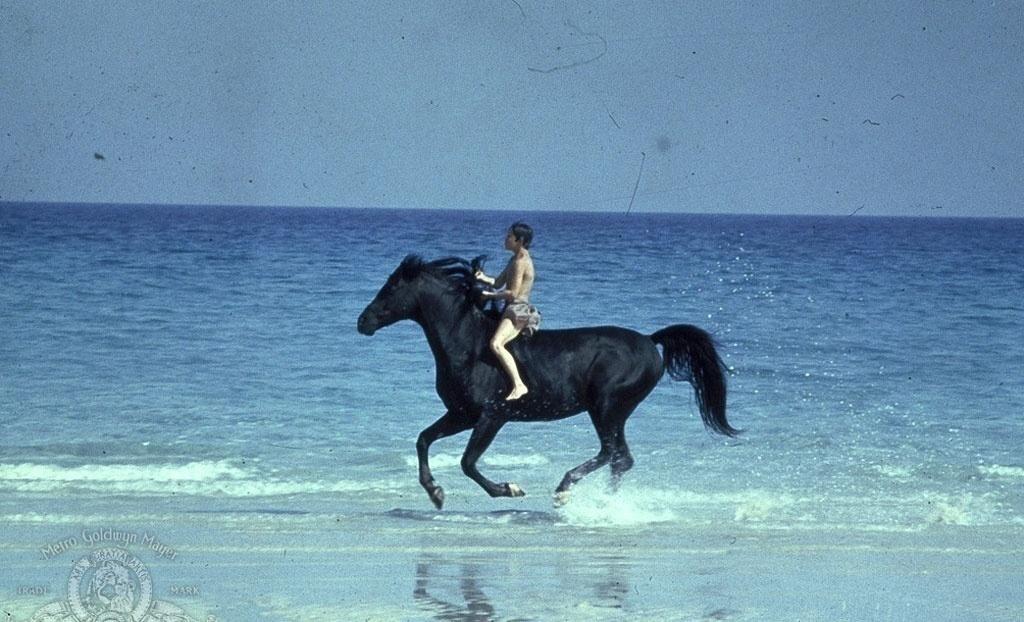 Kelly Reno em cena de "O Corcel Negro" (1979) - Divulgação