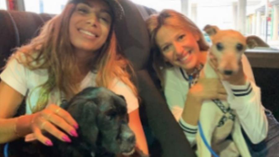 Anitta adotou cachorros do abrigo para animais da ativista Luisa Mell - Reprodução/Instagram