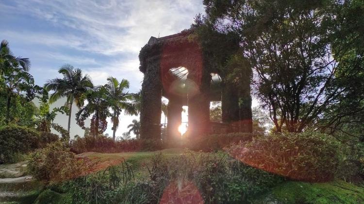 Jardim Botânico do Rio de Janeiro - Reprodução Instagram/Alexandre Machado - Reprodução Instagram/Alexandre Machado