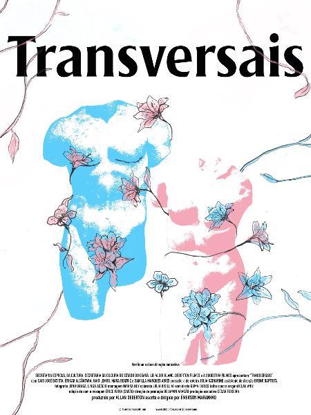 Cartaz do filme "Transversais" - Divulgação