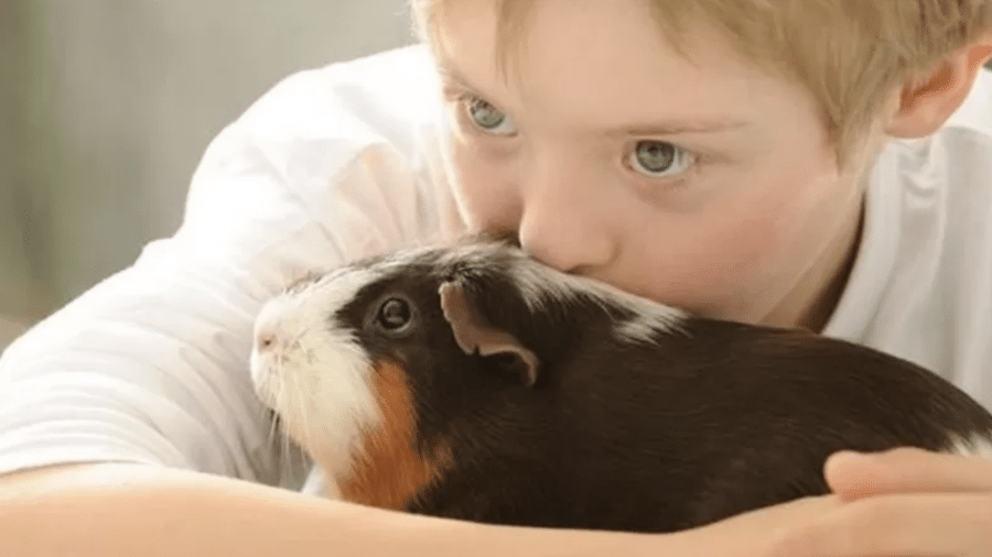 Crianças costumam formar fortes laços com animais de estimação, mas benefícios são muito maiores, segundo pesquisas - Getty Images