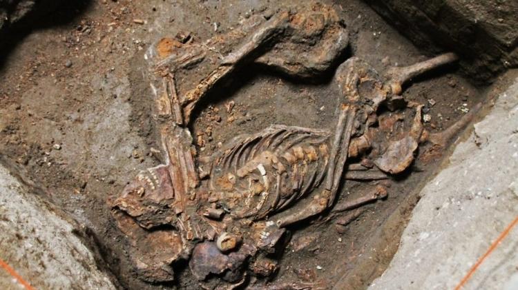 Ossada completa encontrada em escavações no Museu Memorial Pretos Novos