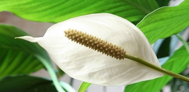 Thinkstock