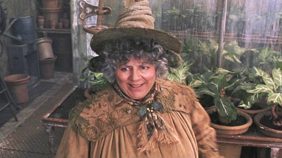 Miriam Margolyes interpretou a professora Pomona Sprout em Harry Potter - Reprodução