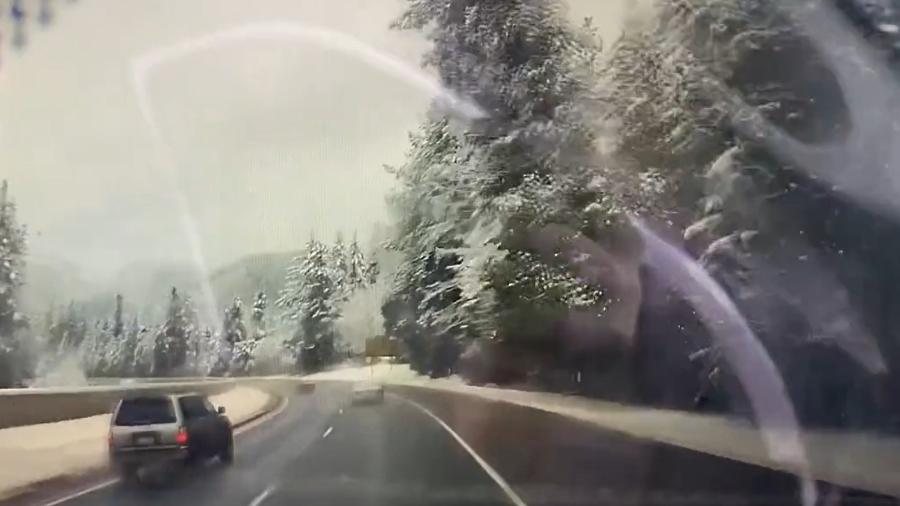 Árvore atinge carro em estrada nos EUA - Reprodução