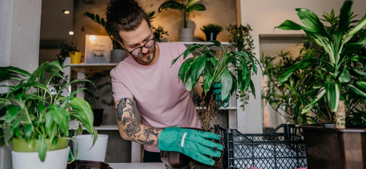 Homem cuidando de plantas - Plantados - Getty Images