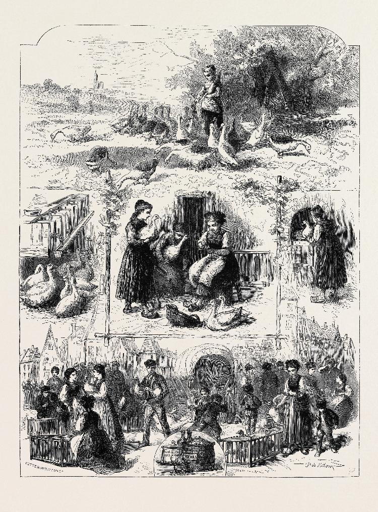 An 1871 engraving showing the production of foie gras in France