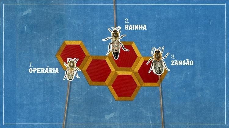 1 - Deborah Faleiros/UOL - Deborah Faleiros/UOL