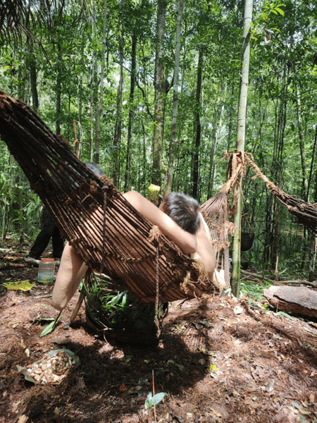 Uma família indígena isolada, composta por um casal e um bebê, se perdeu do resto de seu grupo na região de Mamoriá Grande, no Amazonas Uma família indígena isolada, composta por um casal e um bebê, se perdeu do resto de seu grupo na região de Mamoriá Grande, no Amazonas