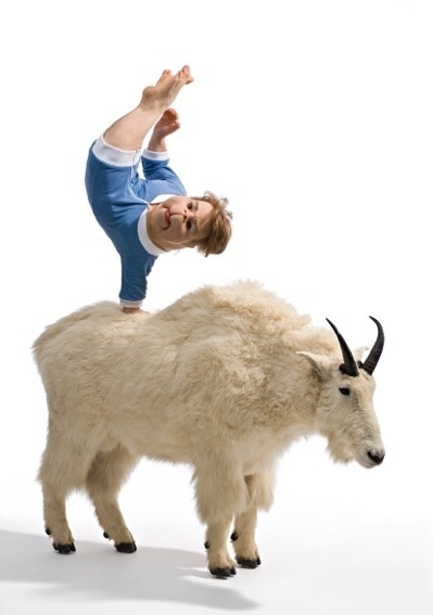 12.out.2015 - Obra da artista australiana Patricia Piccini exposta no Centro Cultural Branco do Brasil em São Paulo - Divulgação